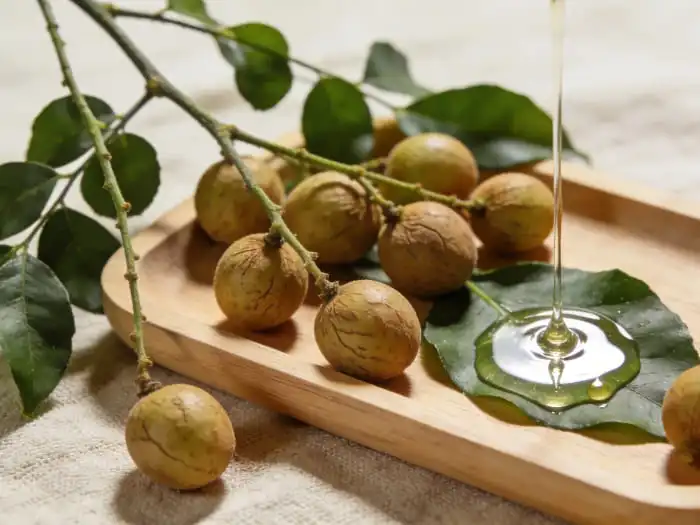 What Is Soapnut Extract and Why Is It Used in Natural Detergents?